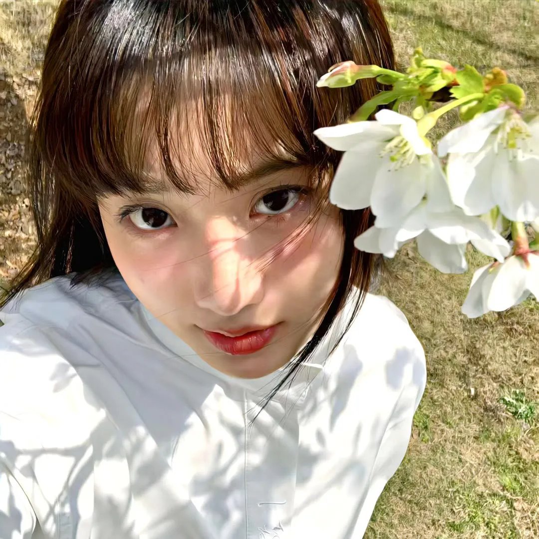 多莉亚与阿勒颇公主